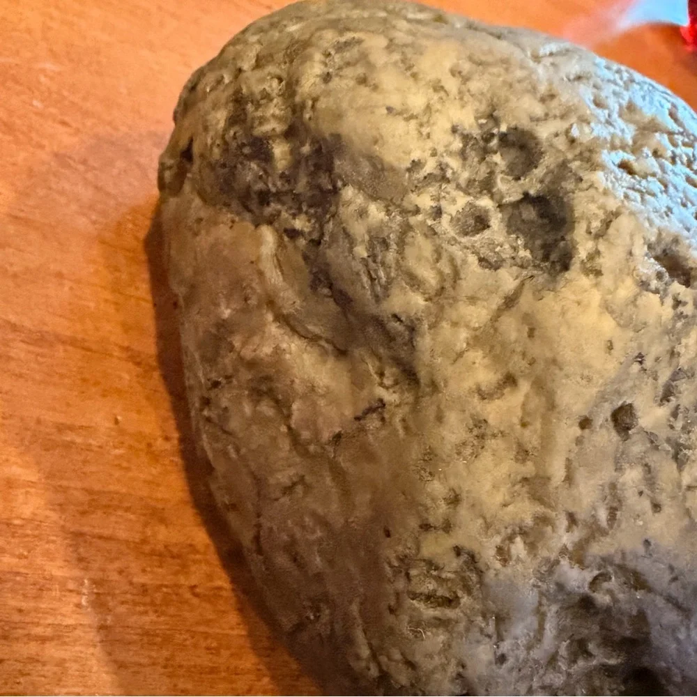 NWOP Exo Terra Canopy Cave Reptile Habitat Rock